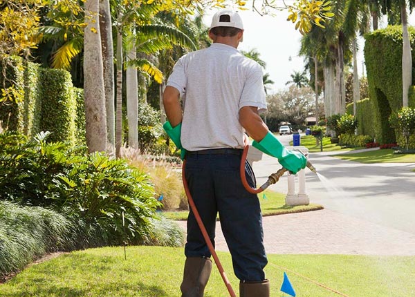 About Brookside AL Pest Control Pros